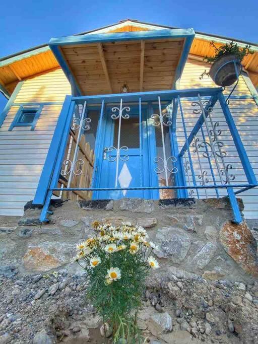 Villa Rengin Datça Ngoại thất bức ảnh